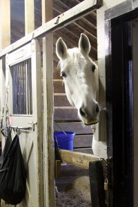 Devon sees the banana