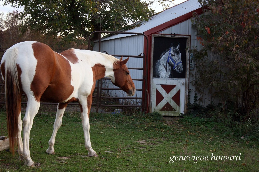 Miko the horse next to the painted barn door horse
