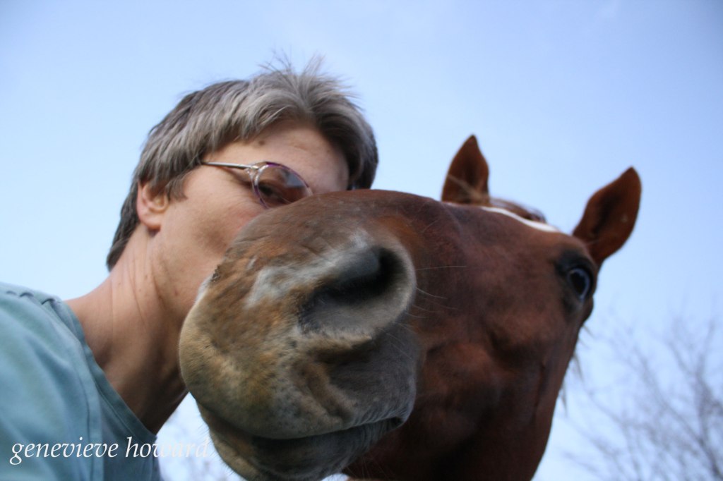 Horsey Selfie
