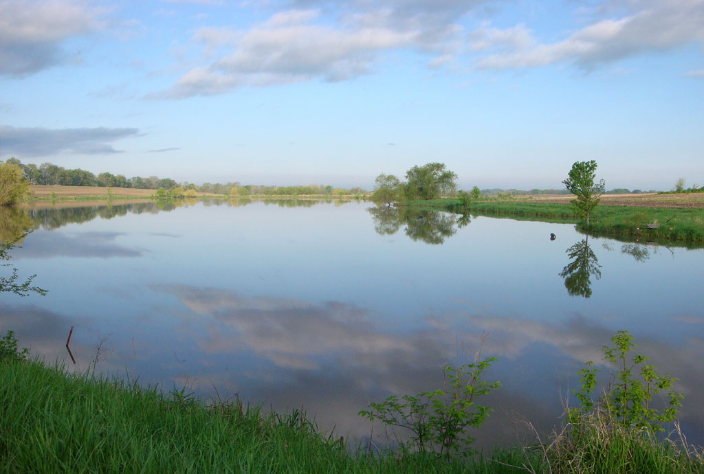Lake in summer morning