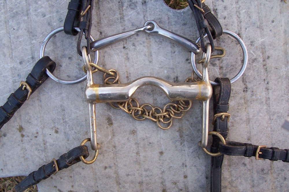 Curb and bradoon horse bit image from Wikimedia Commons