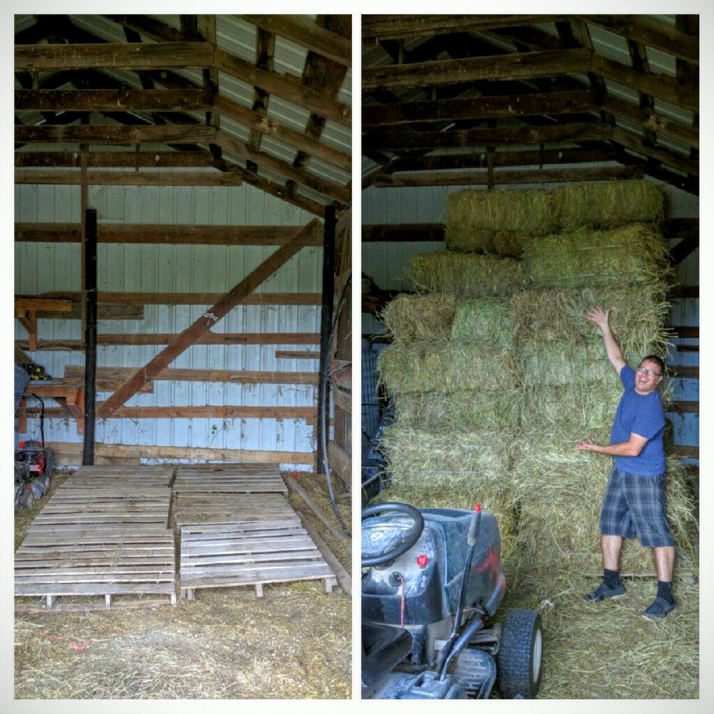 20160930_184617-collage