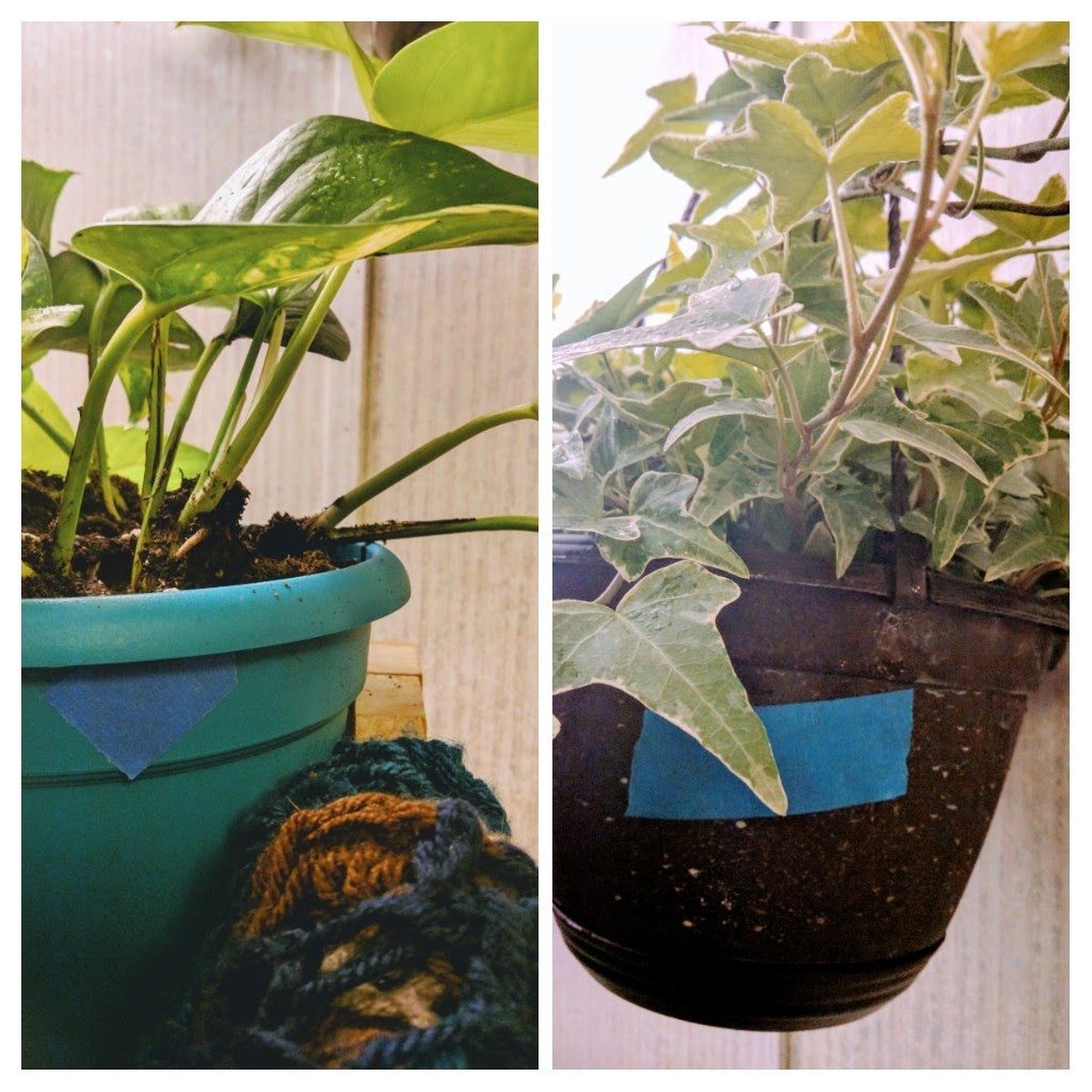 20161230_143329-collage-1