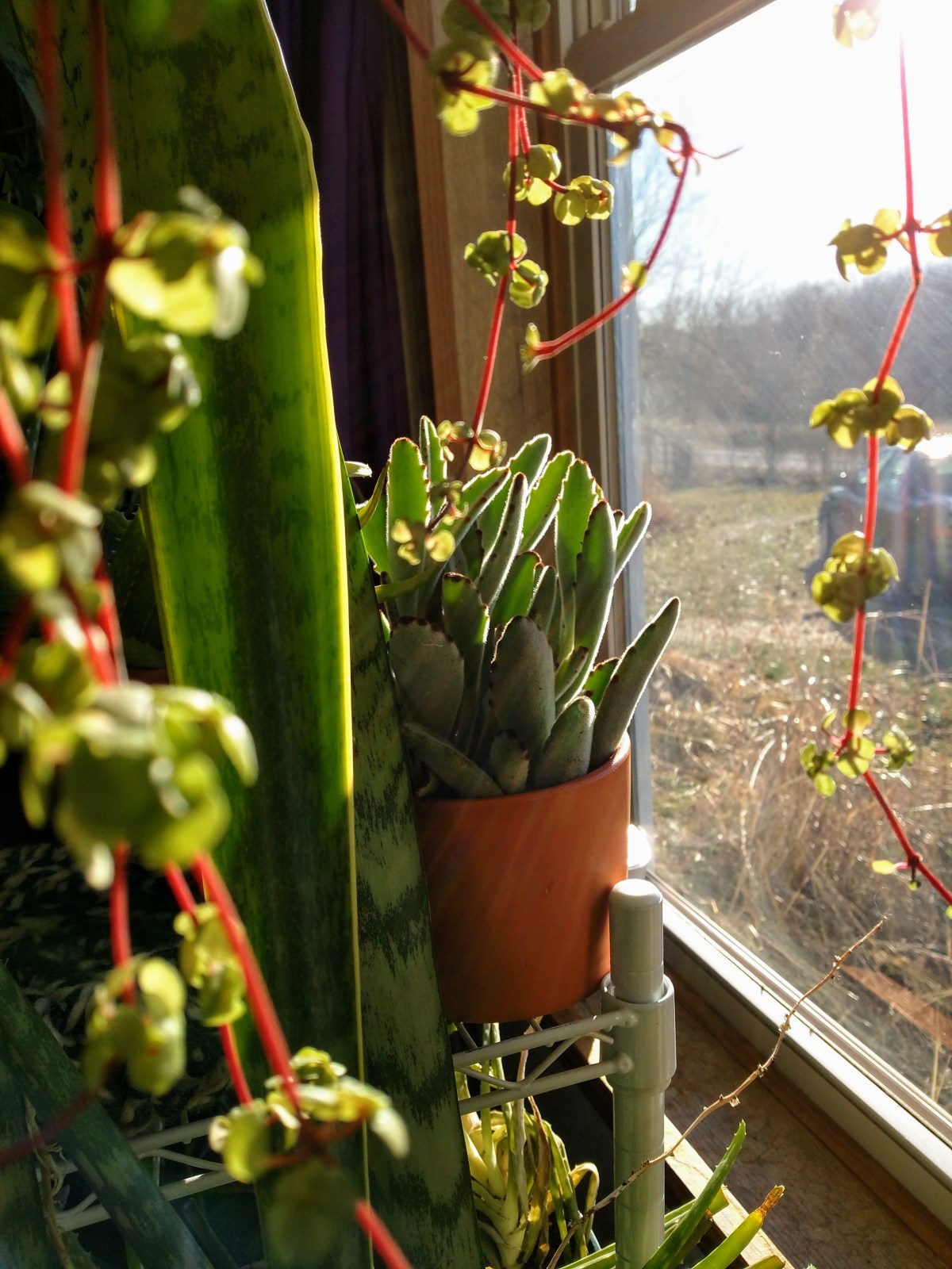 clone tag: -3640427933309948671