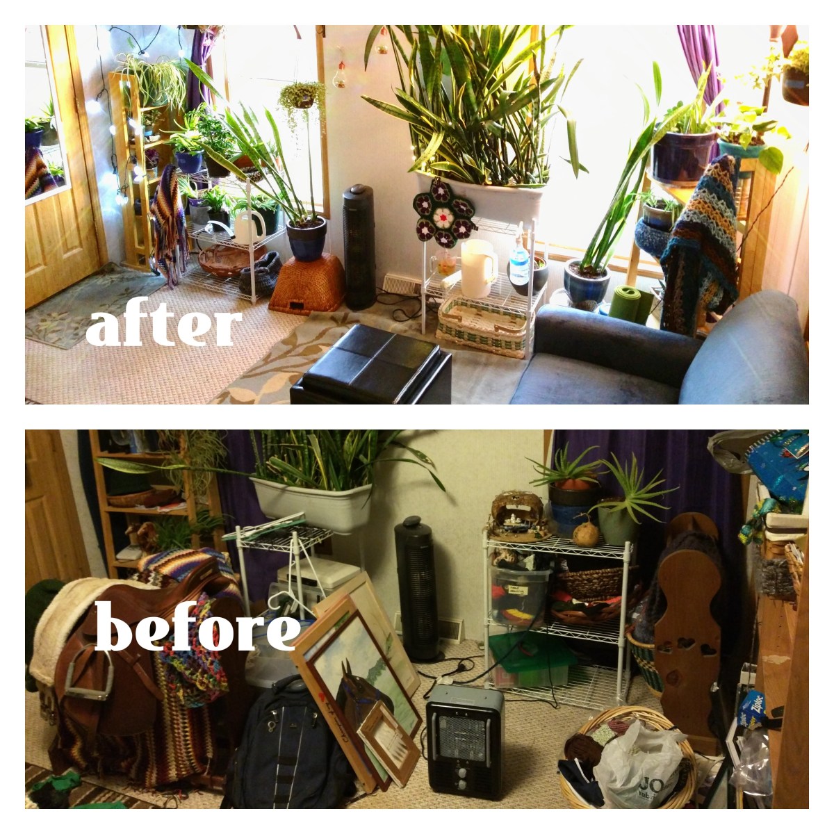 pixlr_20161228200537266