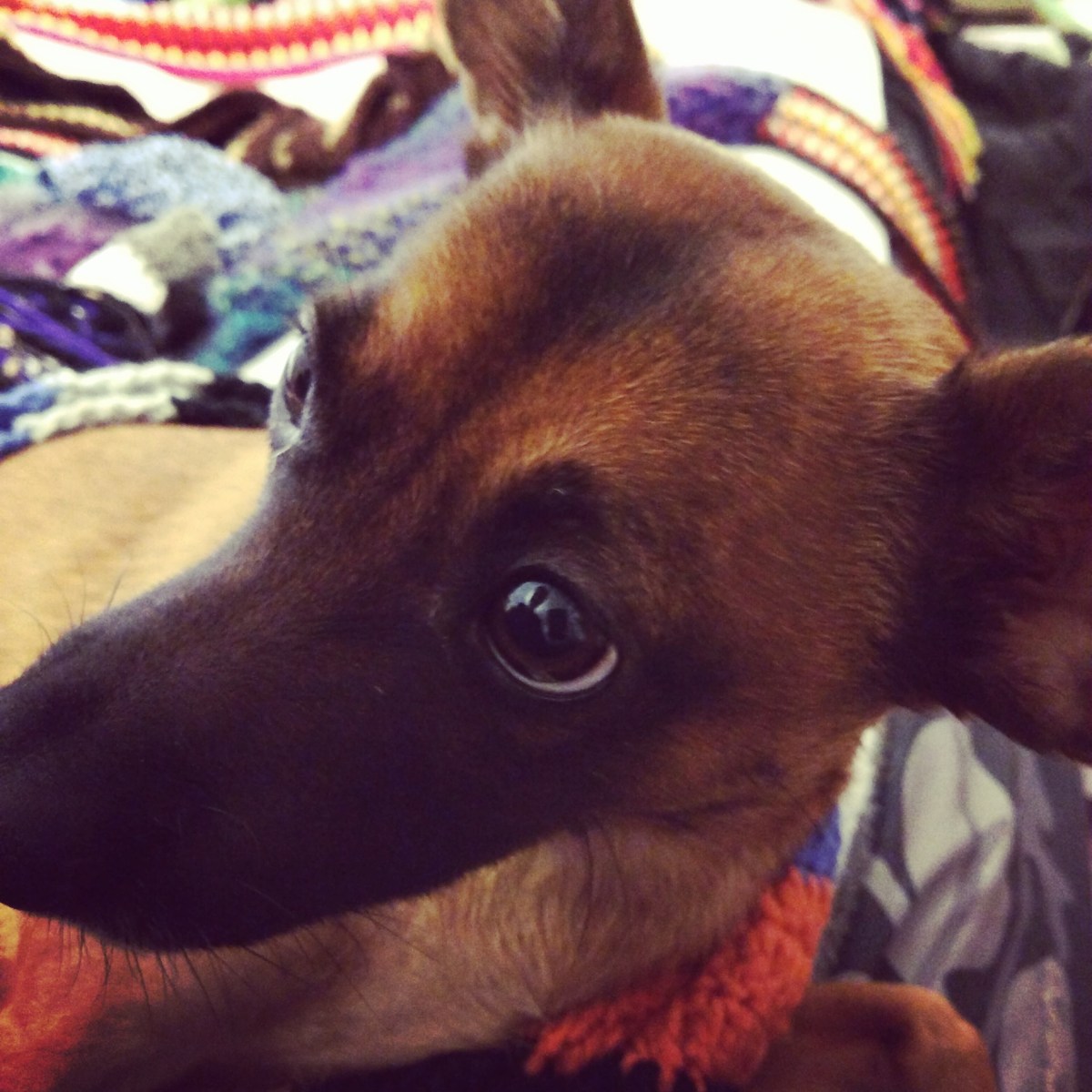 IMG_20171119_215456_516