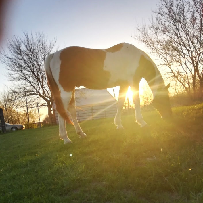 IMG_20180430_205405_241