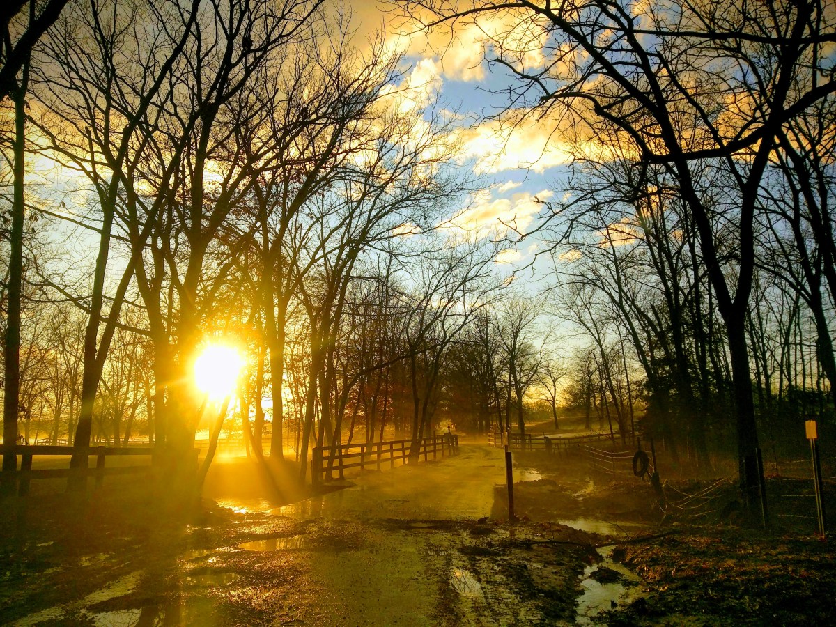 IMG_20190223_172354-EFFECTS